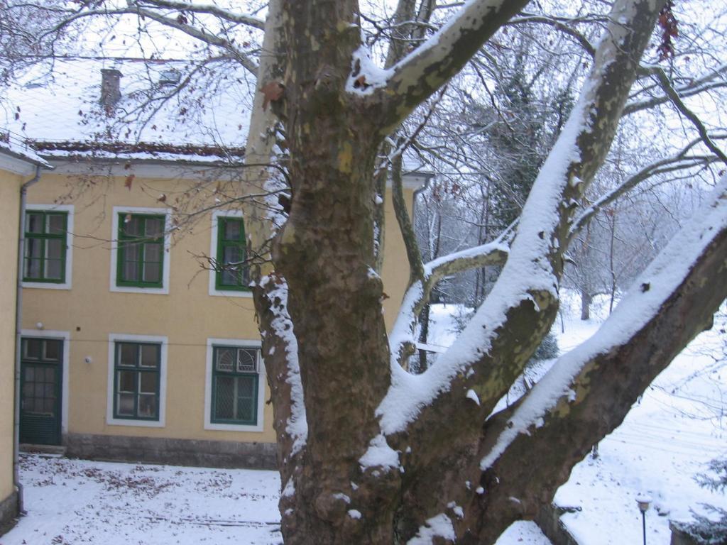 Hotel Mater Salvatoris House Gödöllő Zewnętrze zdjęcie